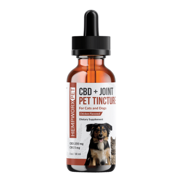 CBD Oil for Dogs — Joint Health