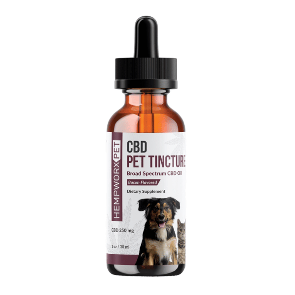 CBD Oil for Dogs & Pets